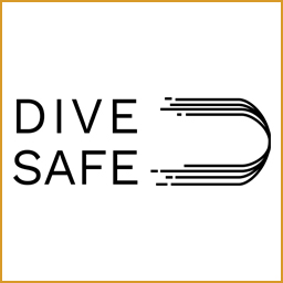 DiveSafe icon