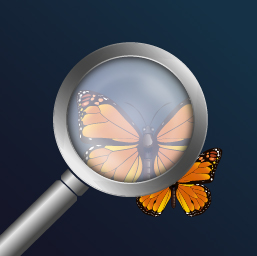 magnifying-glass-pro-it