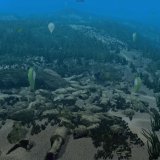 Virtual Diving Photo