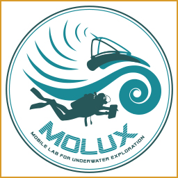 Molux icon